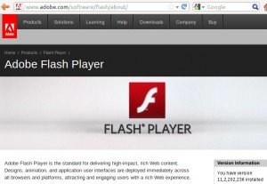 Install adobe flash player ubuntu 12.04 version check