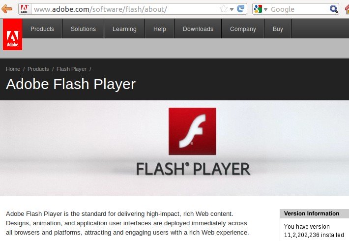 download javascript flash player