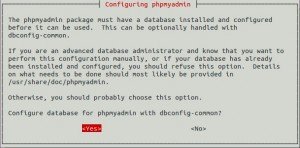 install phpmyadmin ubuntu 12.04