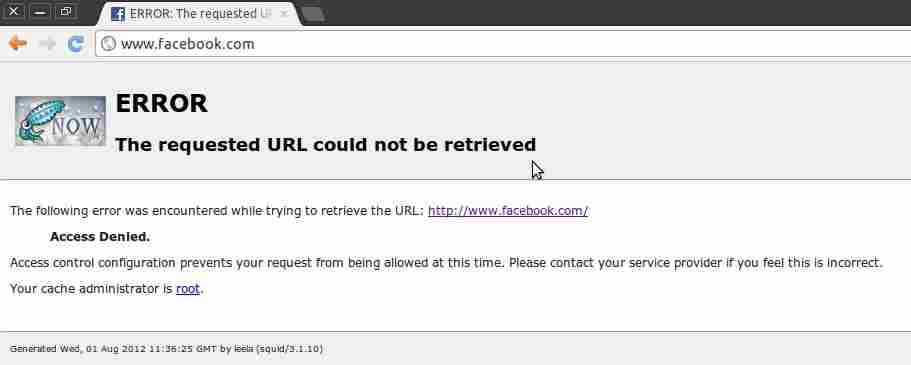 Running behind a squid proxy gives Bad Request · Issue #16