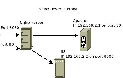 nginx reverse proxy
